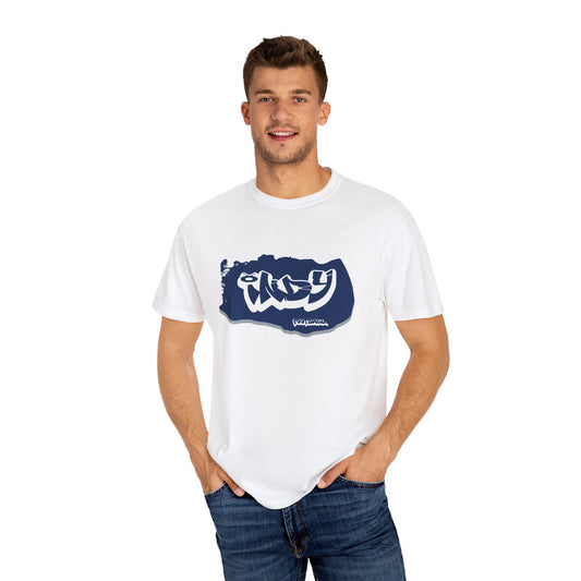 Indianapolis Football Graffiti Tee